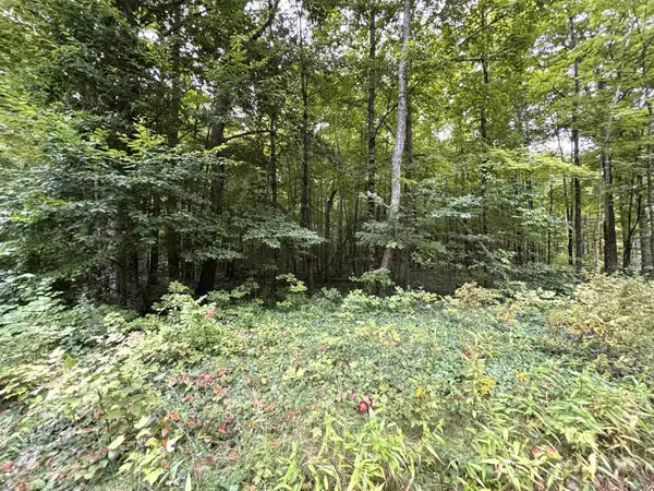 0 Warner Road, Salisbury, NH 03268