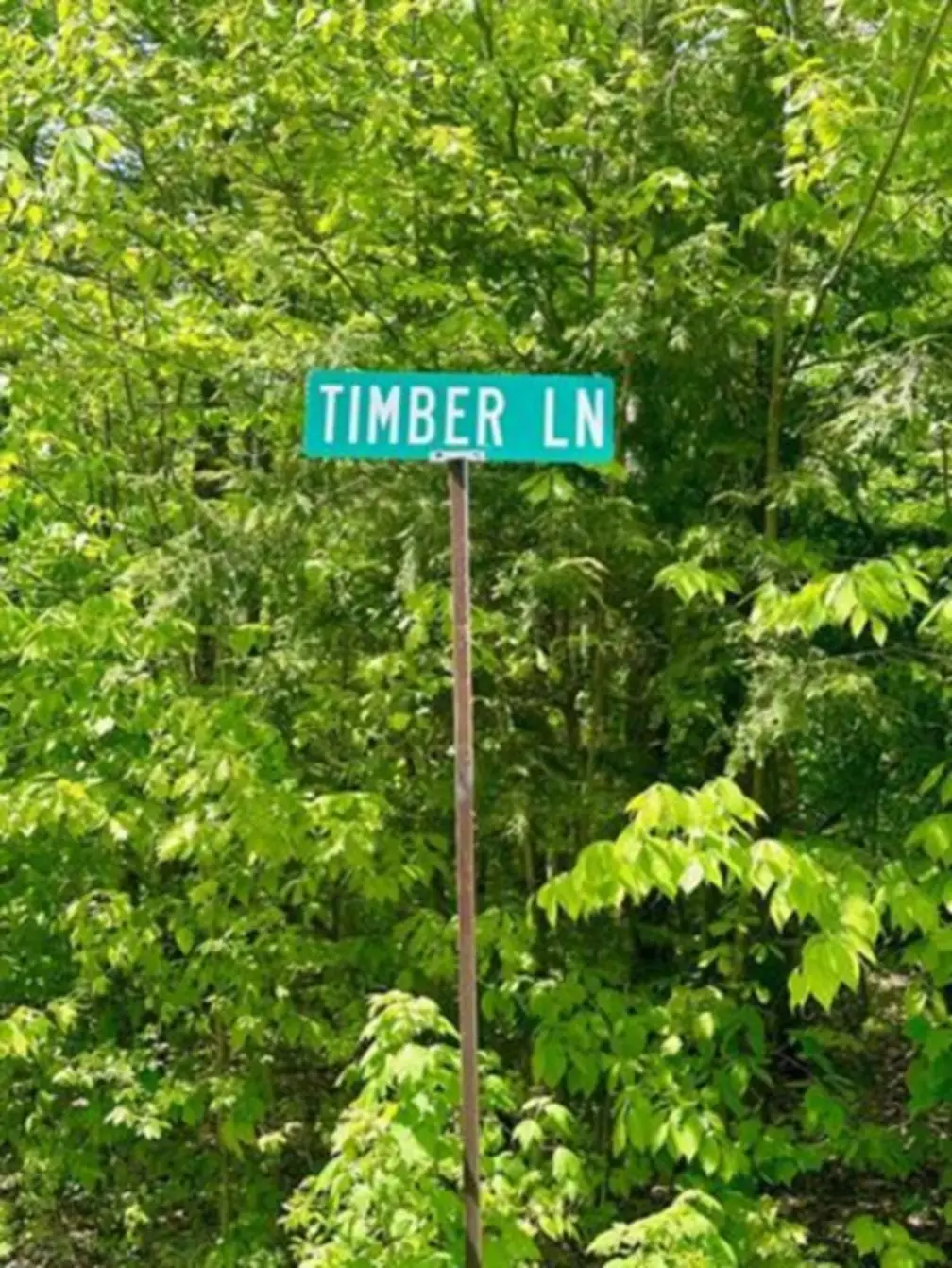 G6 Timber Lane, Wardsboro, VT 05355 - #1