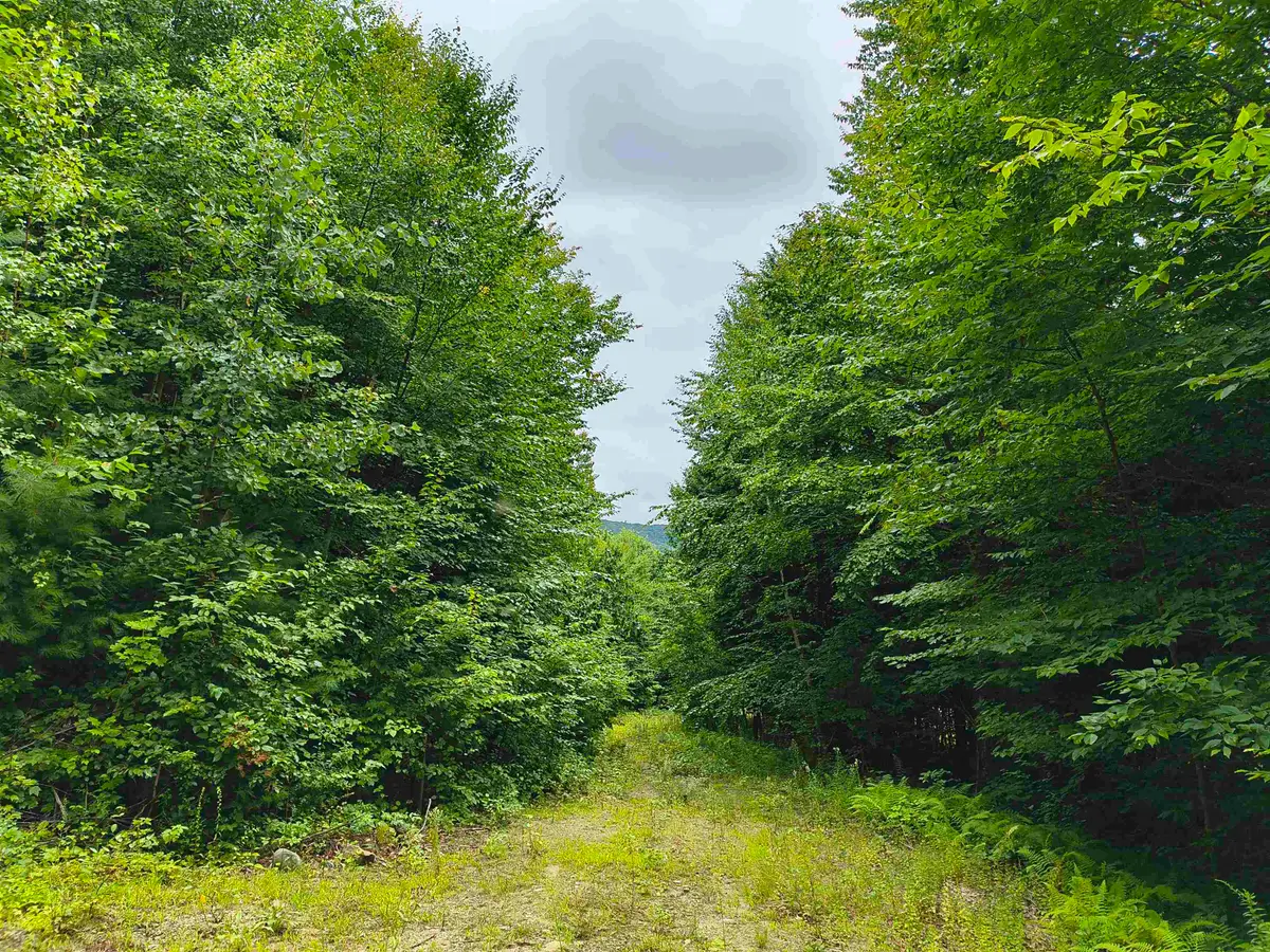 Lot #5 Cilley Brook Lane, Hebron, NH 03241 - #1