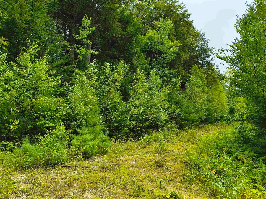 Lot #5 Cilley Brook Lane, Hebron, NH 03241 - #2