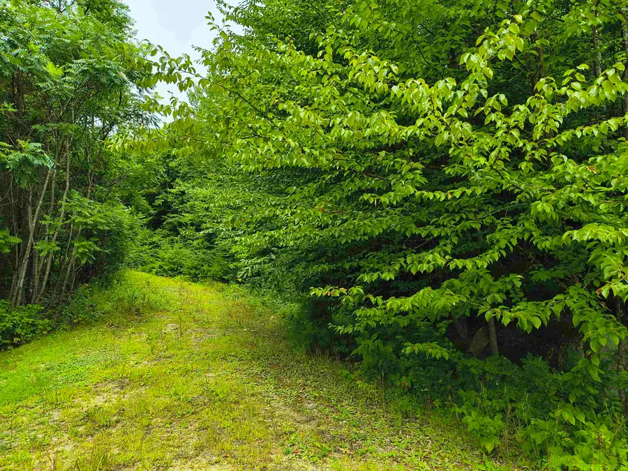 Lot #5 Cilley Brook Lane, Hebron, NH 03241 - #3