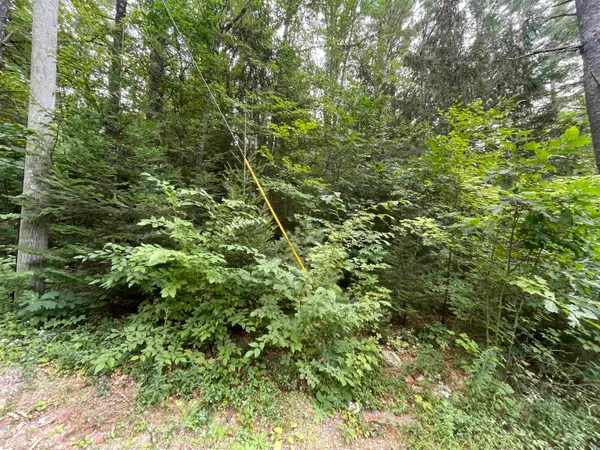 Sweeney Road, Washington, NH 03244