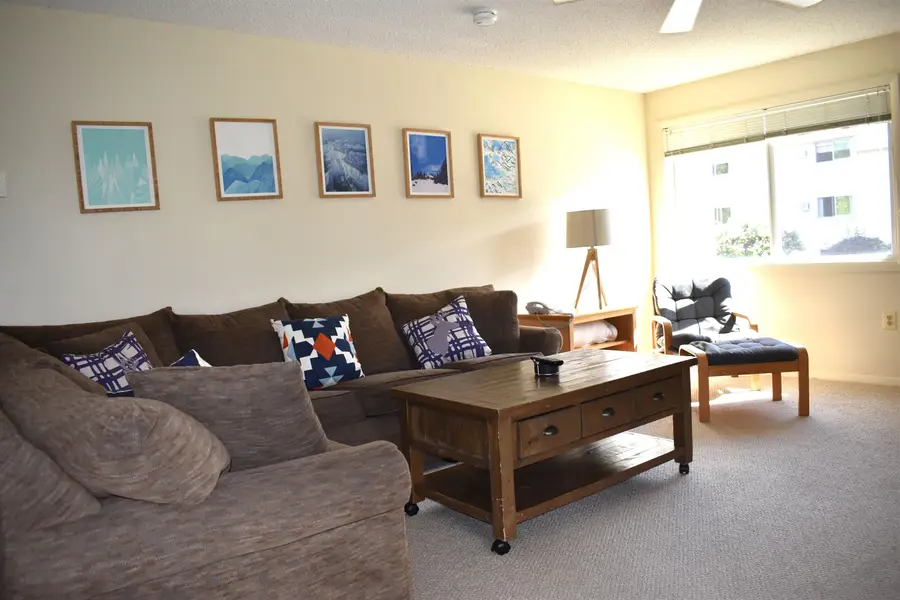 29 Slopeside at Smugglers Notch Resort #31, Stowe, VT 05464 - #3
