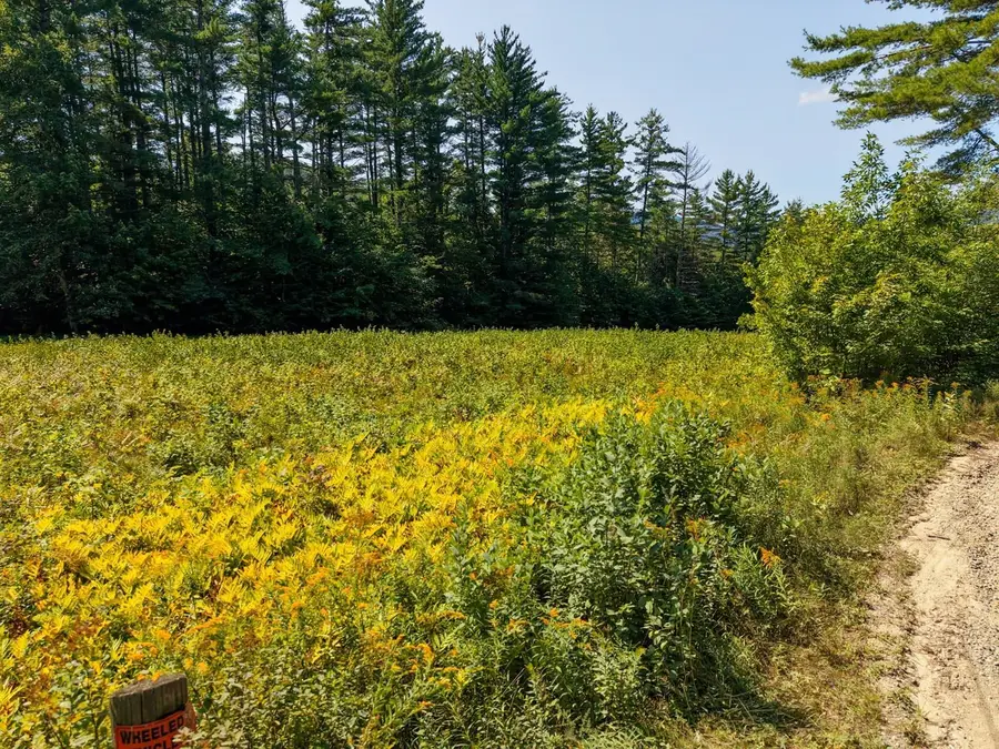 Mill Brook Road #034, Thornton, NH 03285 - #3