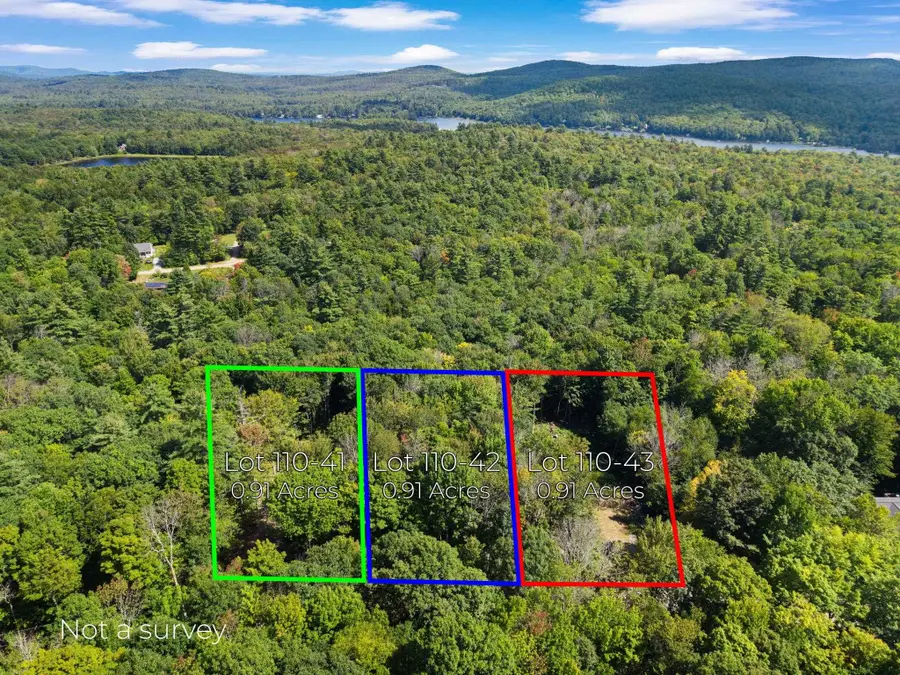 110 41 Kings Highway, Stoddard, NH 03464 - #2