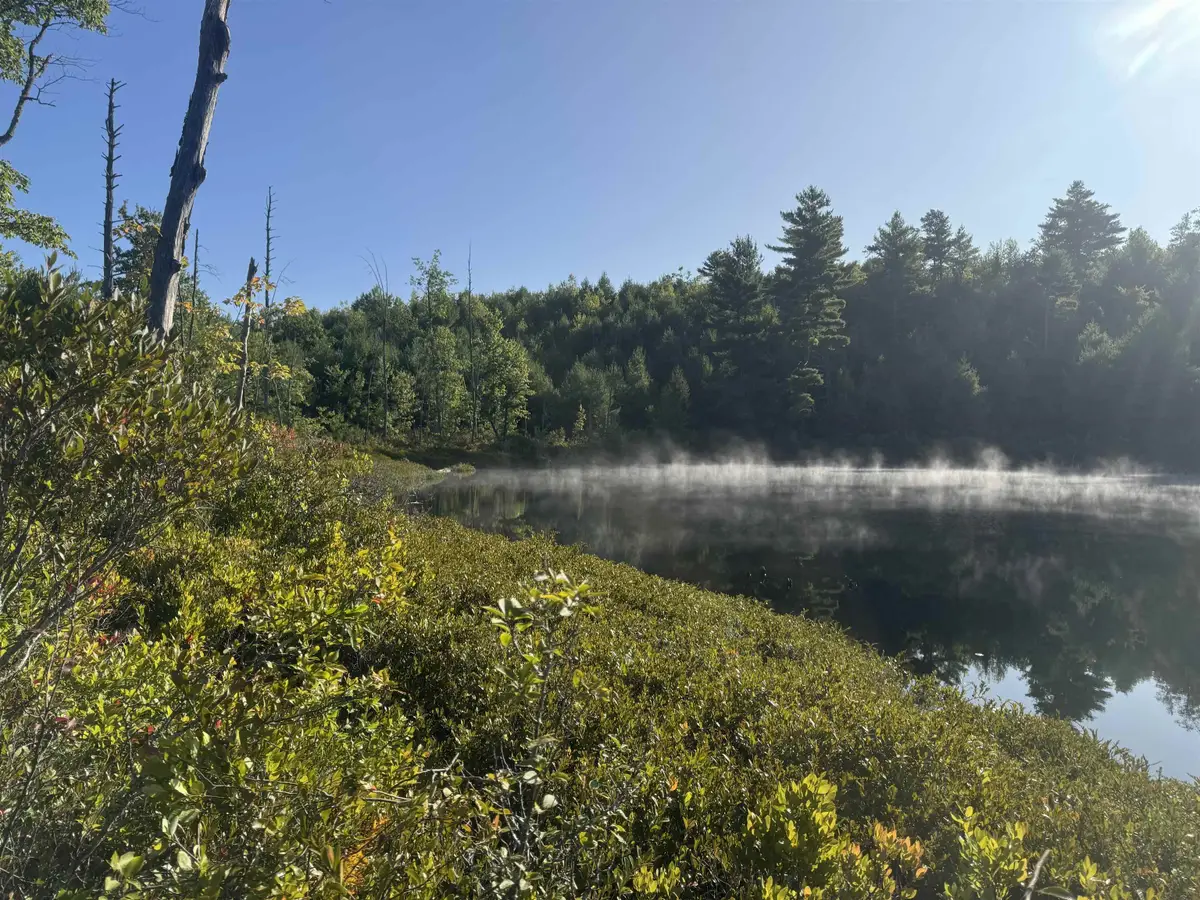 40 Granite Road, Ossipee, NH 03864 - #1