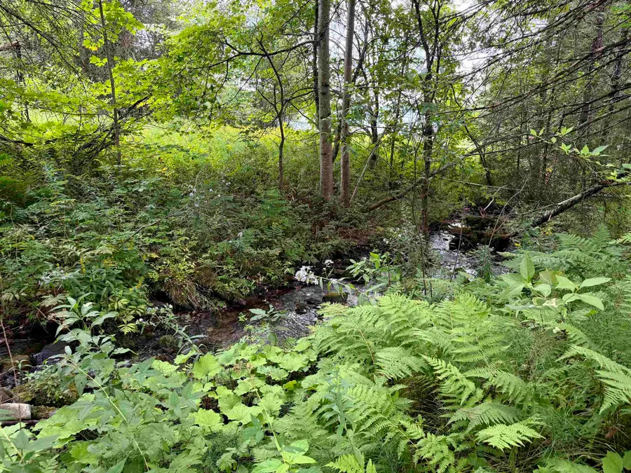 4716 Route 5, Sutton, VT 05867 - #2