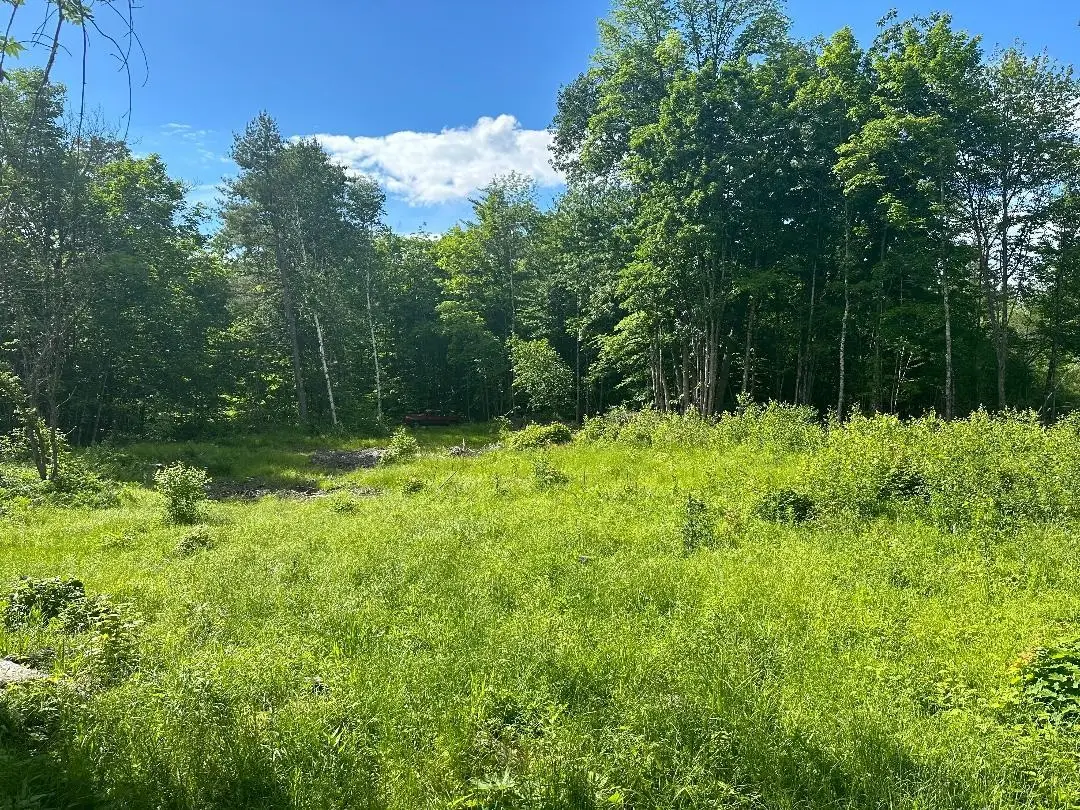 lot#3 Frescoln Road, Wentworth, NH 03282 - #1