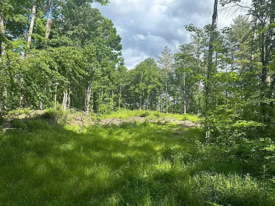 lot#4 Frescoln Road, Wentworth, NH 03282 - #3