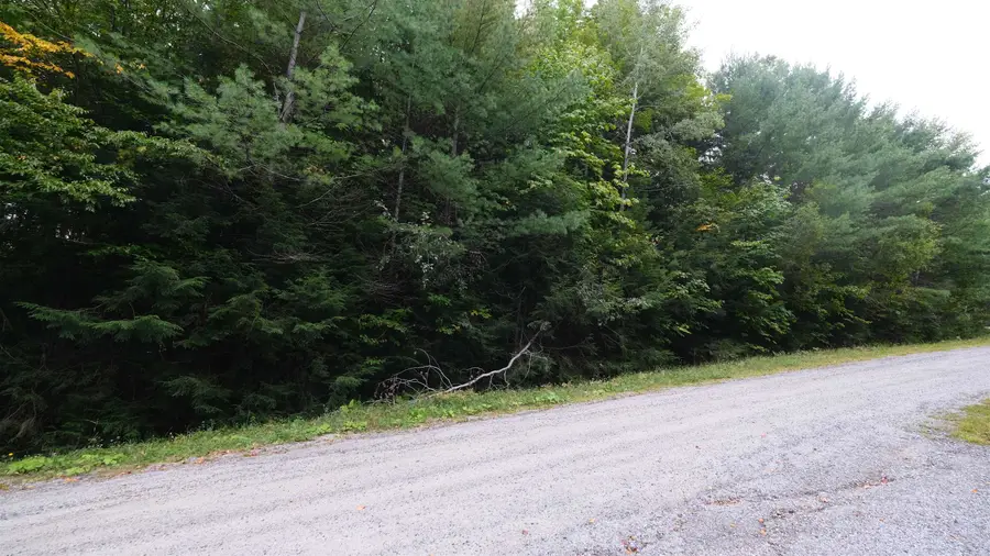 0 Bear Ridge Road, Ludlow, VT 05149 - #2