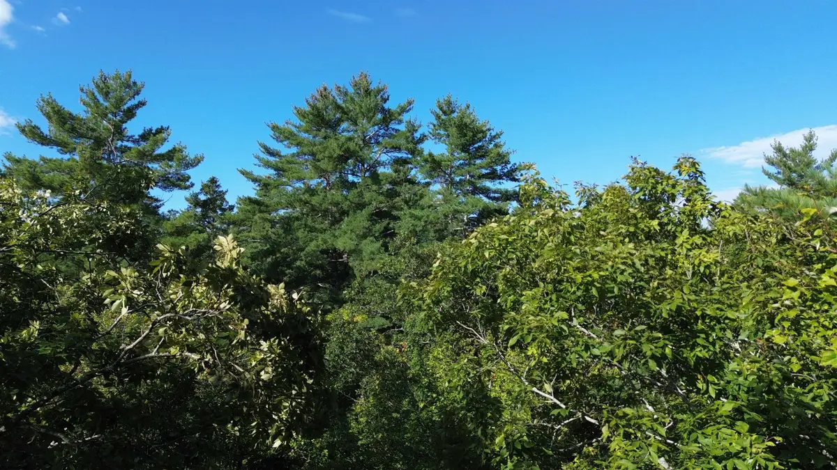 65 Case Road, Nottingham, NH 03290 - #1