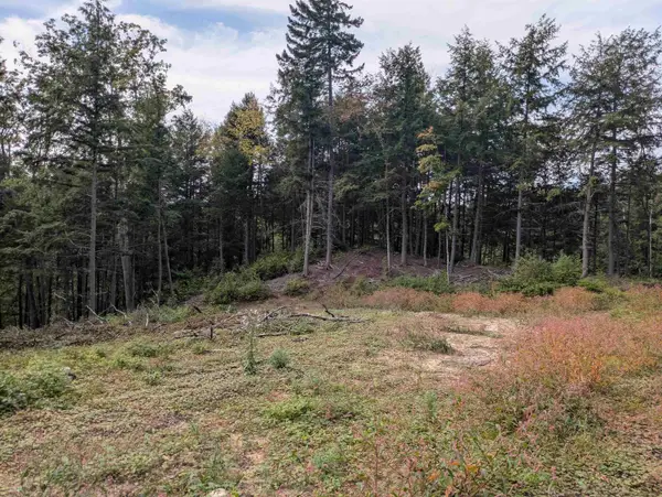 Gilsum Road, Sullivan, NH 03445
