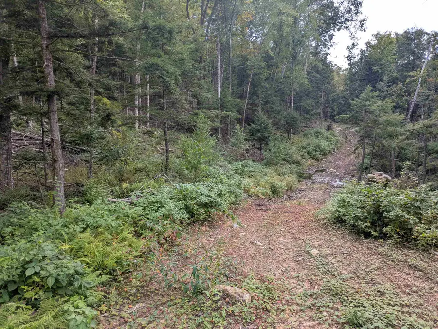 Gilsum Road, Sullivan, NH 03445 - #2