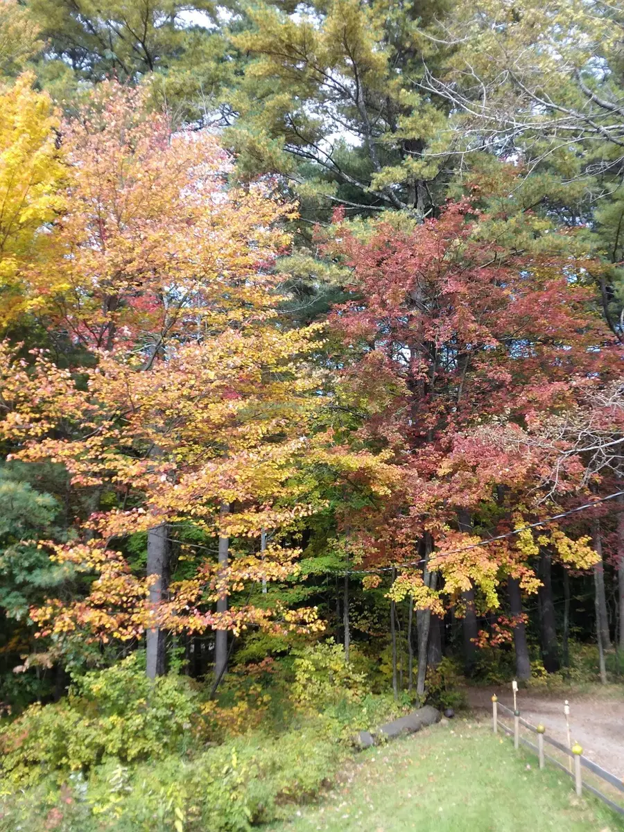 207 Marlow Hill Road, Marlow, NH 03456 - #3