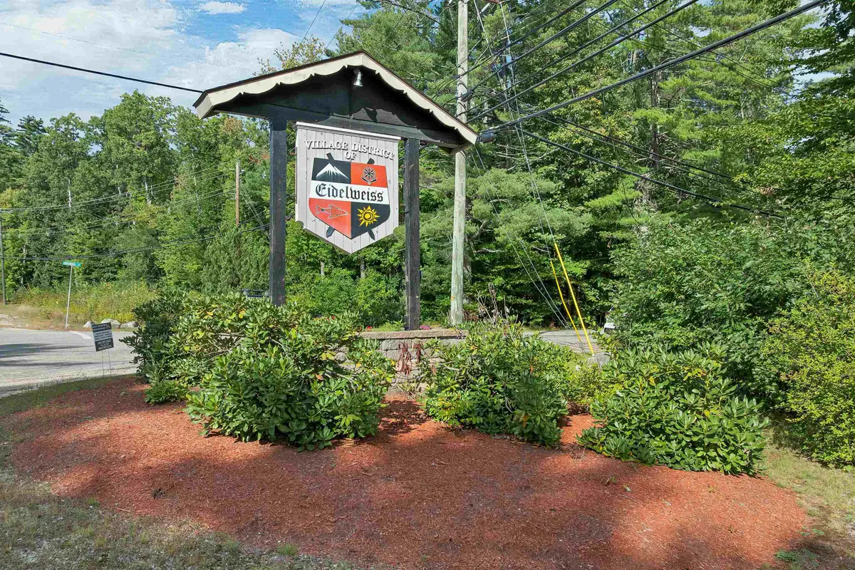 9 Waldsbut Road, Madison, NH 03849 - #1