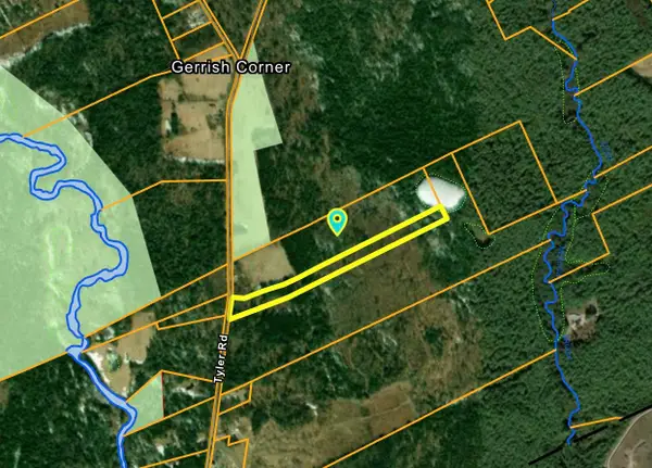 LOT #8-30-1 TYLER Road, Webster, NH 03033