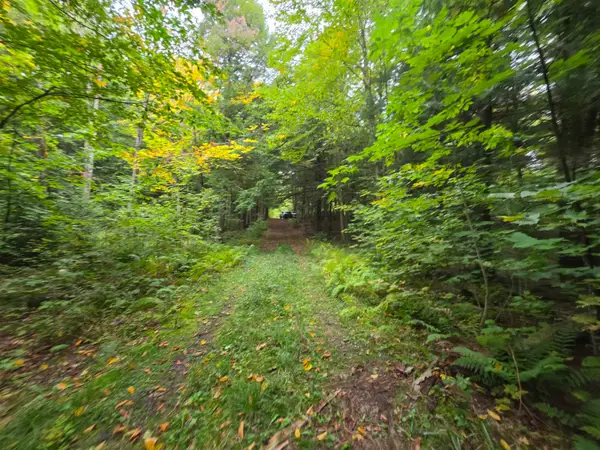 Lot#7 Woodland Drive, Jay, VT 05859