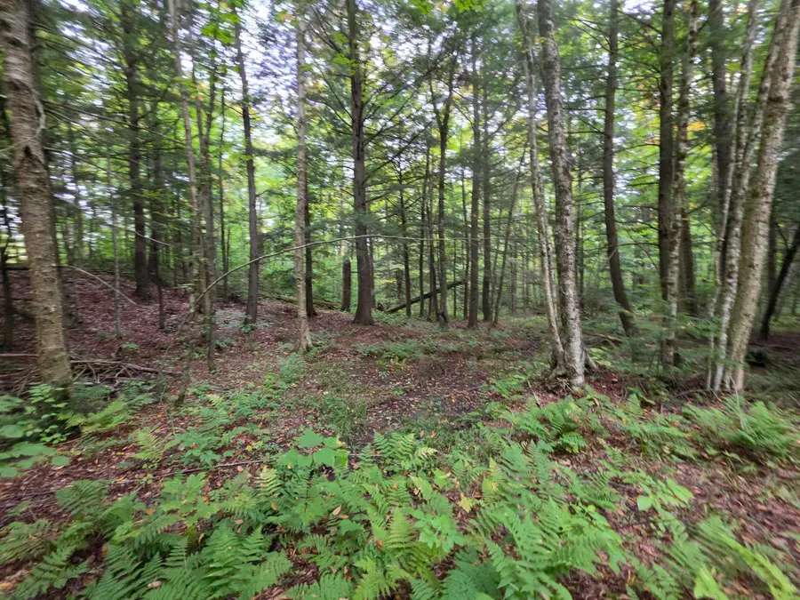 Lot#7 Woodland Drive, Jay, VT 05859 - #3