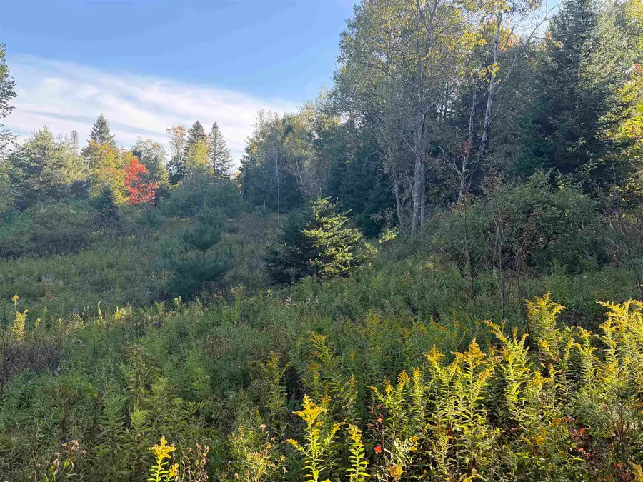 000 Burke Hollow Road #1 & 2, Burke, VT 05832-9751 - #2