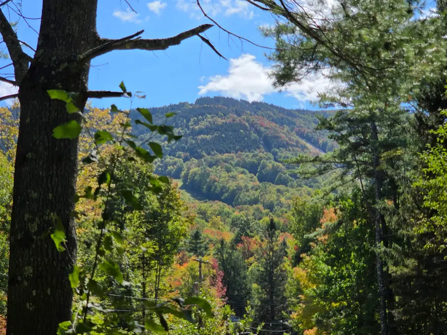 868 Magic Circle, Londonderry, VT 05148 - #3