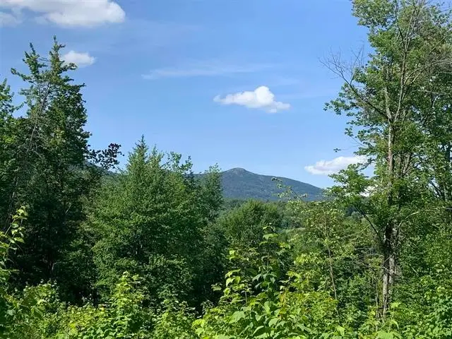 0 Leland Farm Road #Lot D, Middlesex, VT 05602 - #1