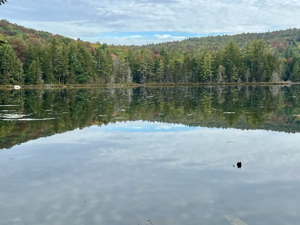Forrester Road, Jamaica, VT 05343 - #1