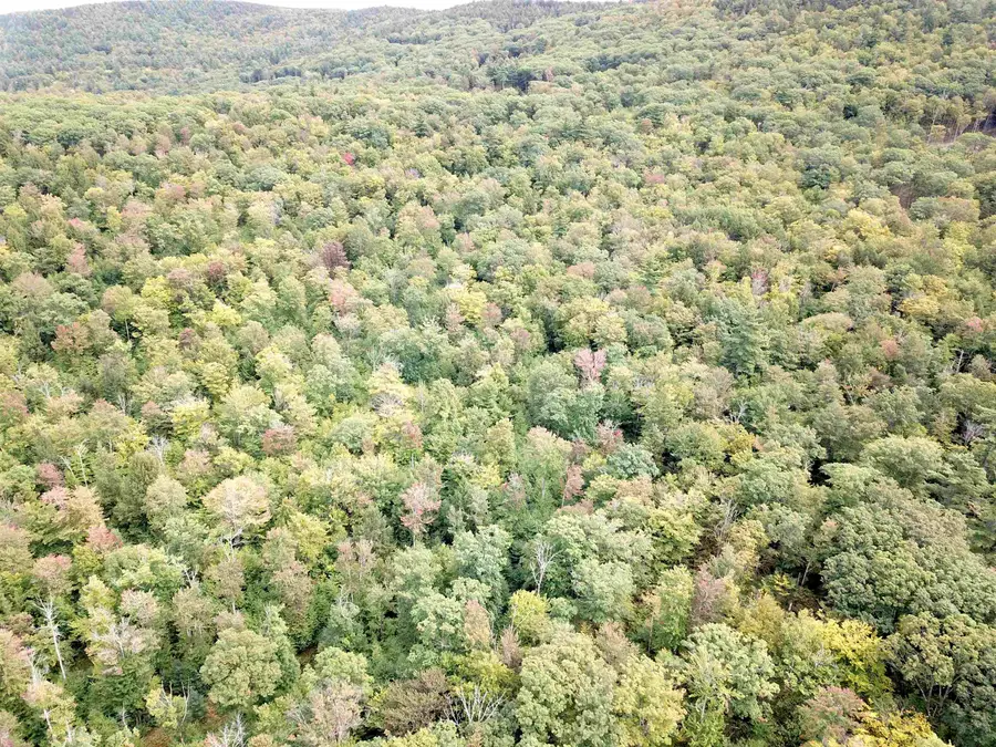 217 Horne, Warner, NH 03278 - #3