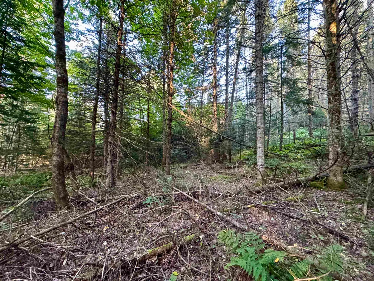 Lot 6 Jennings Road, Colebrook, NH 03576 - #1