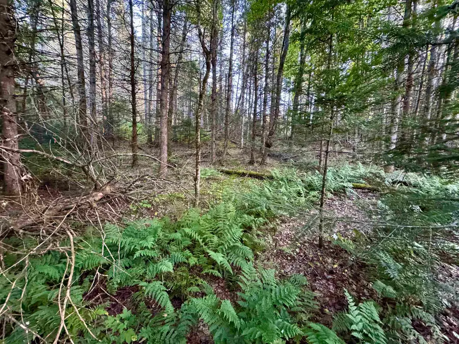 Lot 6 Jennings Road, Colebrook, NH 03576 - #2