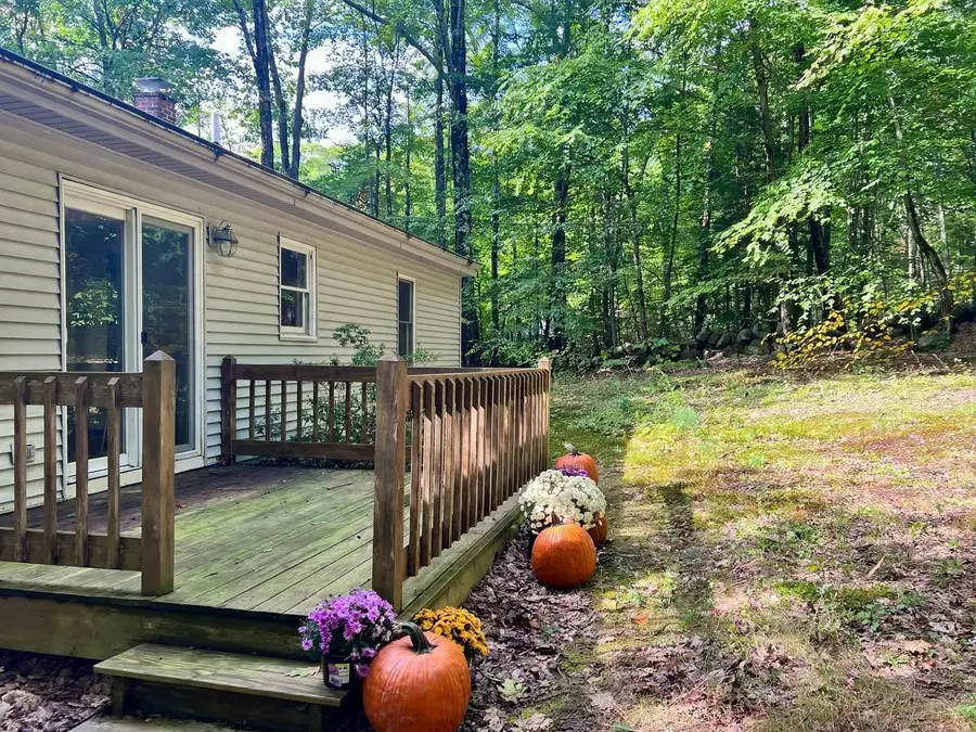 441 Old County Road, Deering, NH 03244 - #2