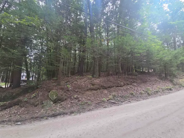 Map 09 Lot 30 Gould Pond Road, Hillsborough, NH 03244