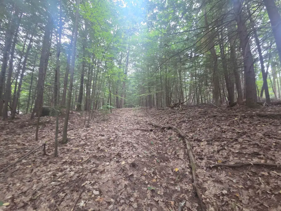Map 09 Lot 30 Gould Pond Road, Hillsborough, NH 03244 - #3