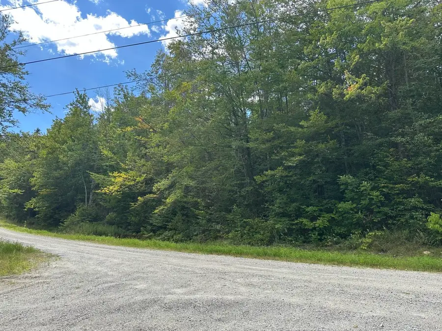 145 Highland View Road, Weston, VT 05161 - #2