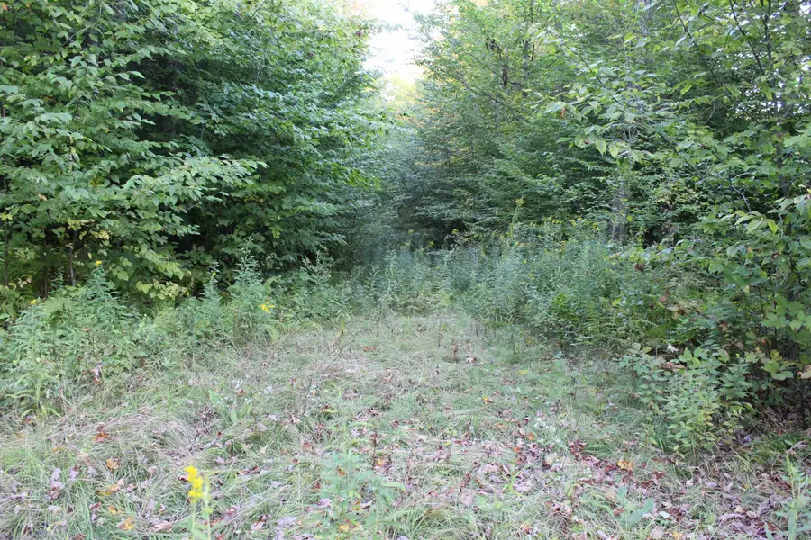 38 Johnson Hill Road, Royalton, VT 05068 - #2