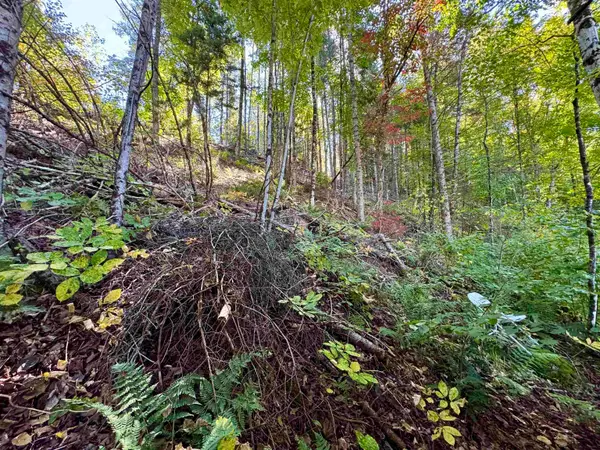24 Marsh Road, Columbia, NH 03590