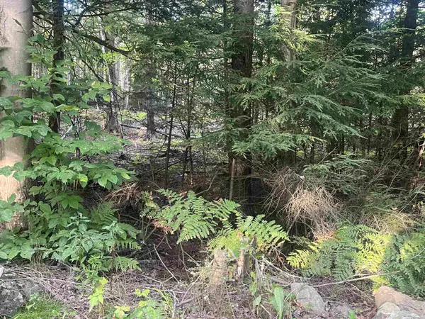 Lot 3 Clif Reynolds Road, Cambridge, VT 05444