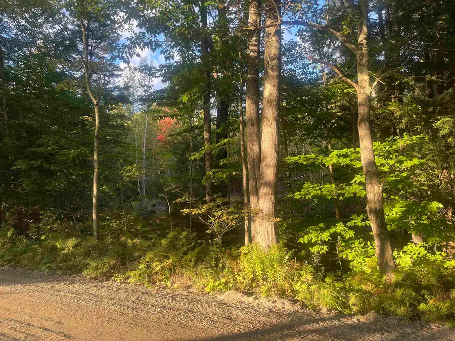 Lot 3 Clif Reynolds Road, Cambridge, VT 05444 - #2