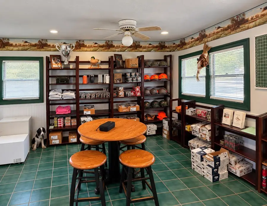 147 GREEN MOUNTAIN Road, Effingham, NH 03882 - #3