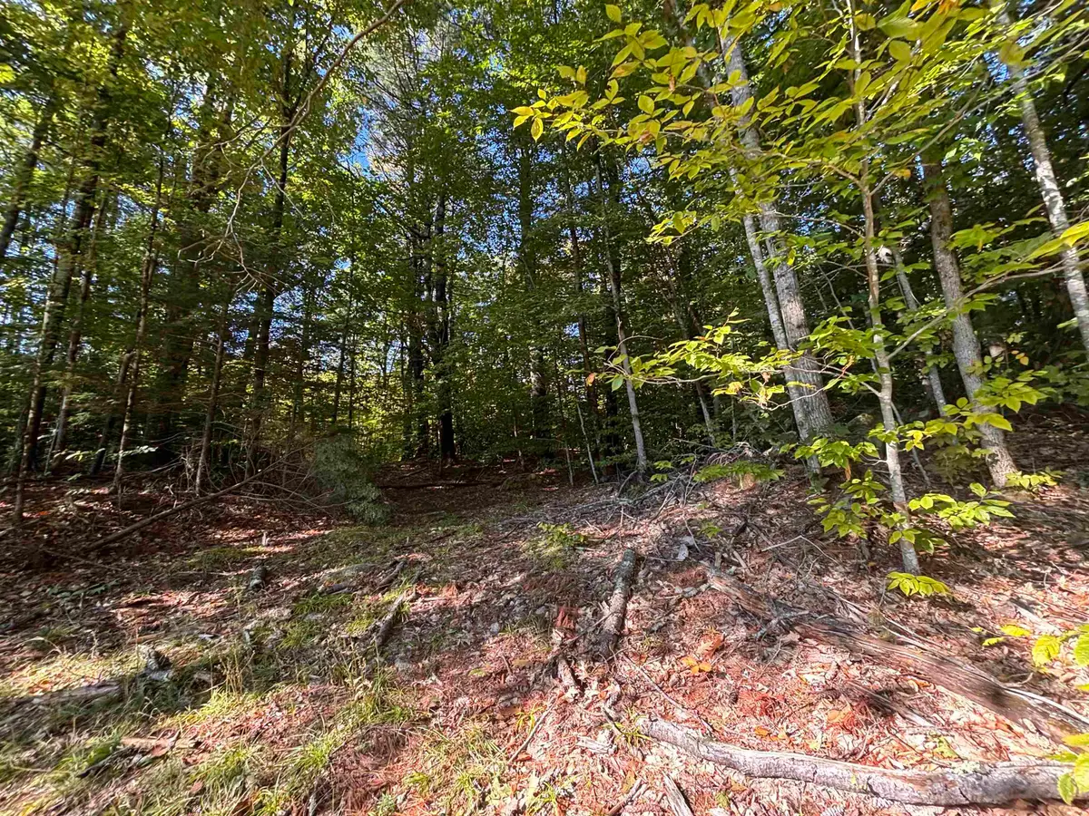 0 Cutoff Road, Sanbornton, NH 03269 - #1
