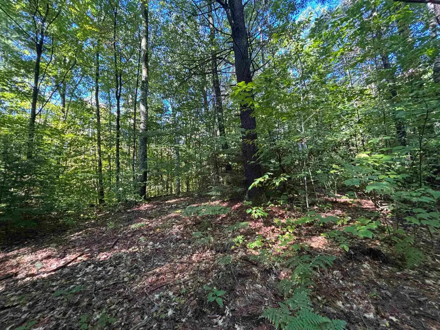0 Cutoff Road, Sanbornton, NH 03269 - #3