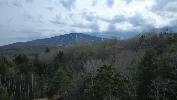 691 Indian Paint Brush Road #E-13R and E-14R, Winhall, VT 05340