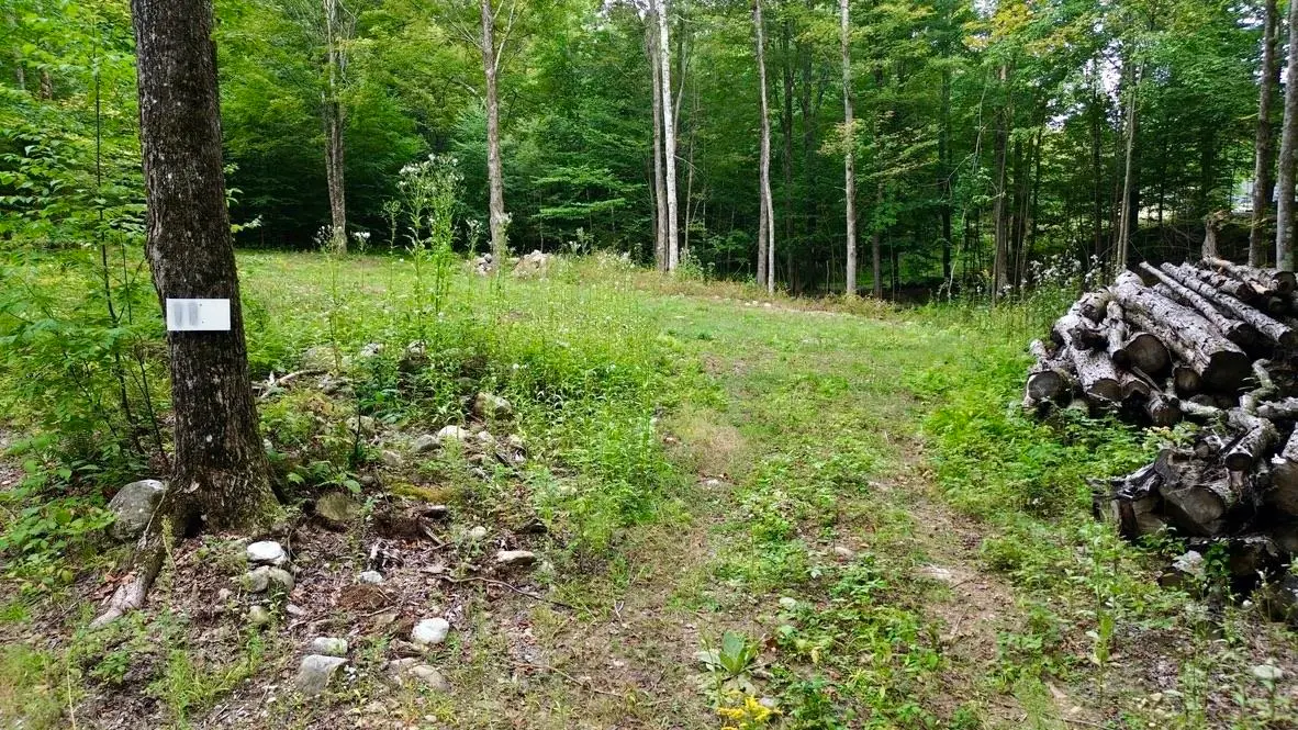 0 Pasquale Street #Lot 11, Chittenden, VT 05737 - #1