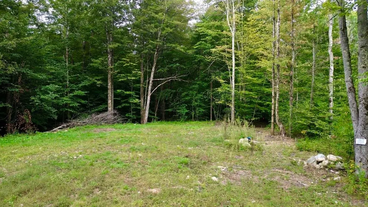 0 Pasquale Street #Lot 13, Chittenden, VT 05737 - #1
