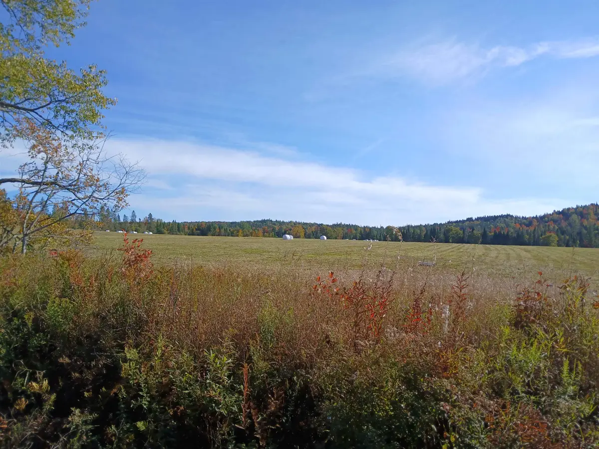 Lot 2 Creampoke Road, Stewartstown, NH 03576 - #1