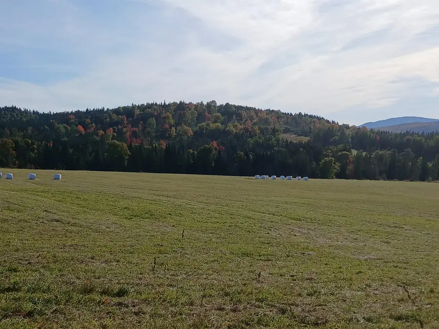 Lot 2 Creampoke Road, Stewartstown, NH 03576 - #3