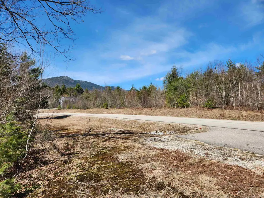 00 Margaret Place #Map 250 Lot 80, Conway, NH 03818 - #3