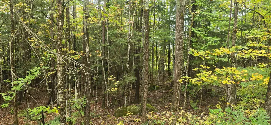0 Clarina Nichols Lane #7229, Quechee, VT 05059 - #3