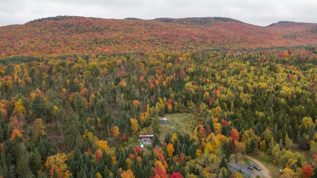 1795 Island Pond Road, Newark, VT 05871 - #1