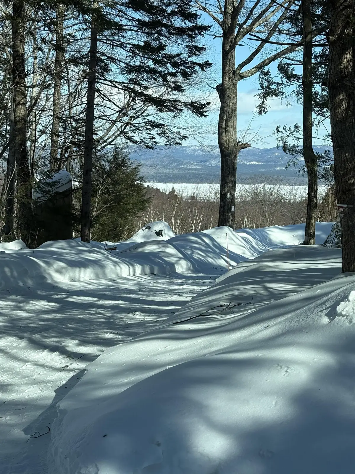 23 Passaconway Road, Ossipee, NH 03814 - #1