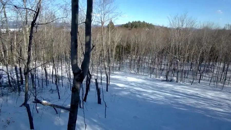 23 Passaconway Road, Ossipee, NH 03814 - #3